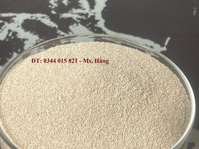 Nấm men Saccharomyces Boulardii, bổ sung thức ăn cho vật nuôi 1