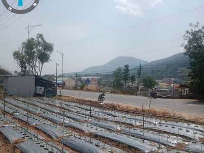 2 Mặt tiền quốc lộ 20, hiệp an, đức trọng cũ, lâm đồng 4