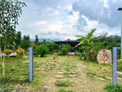 Chủ Đất Thanh Lí Nhanh Đất Bảo Lộc, Tăng Giá Cao Khi Cao Tốc Đi Vào Hoạt Động Chỉ Từ 7xx 1