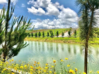 Bán Đất Nền Gần Resort Tâm Châu Giá 650 Triệu 1