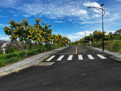 Bán Cặp Đất Nền Mặt Tiền Đường Nhựa 12M Tại Phường 2 Bảo Lộc 3