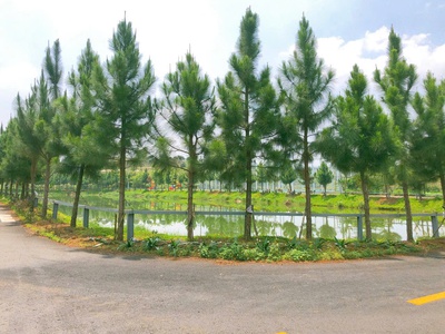 Bán Đất Nền Gần Resort Tâm Châu Giá 650 Triệu 5