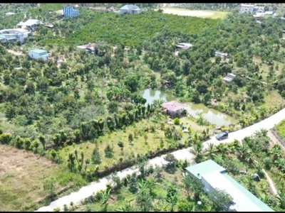 Một trong những lô đất đáng mua nhất trong khu vực Bảo Lâm. 1