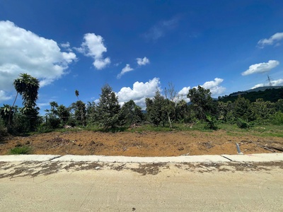 Một trong những lô đất đáng mua nhất trong khu vực Bảo Lâm. 2