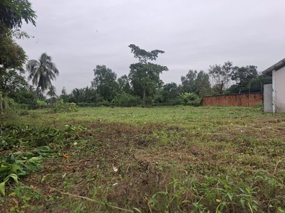 Chủ Cần Tiền Bán Gấp Đất 1.590m , Full Thổ, Cách QL1A 200m - Giá còn thương lượng 0