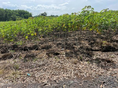 Chính chủ cần bán gấp 2 lô đất siêu đẹp sân bay Long Thành - Đồng Nai 1