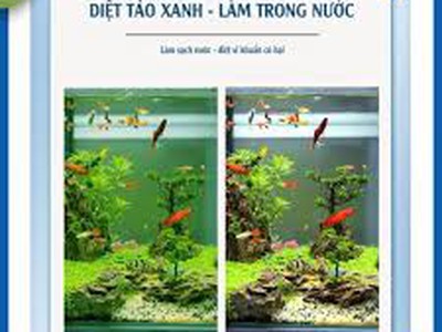 Aqua House   Thế Giới Hồ Cá   Thiết Bị Thủy Sinh Cho Người Chơi Chuyên Nghiệp 2