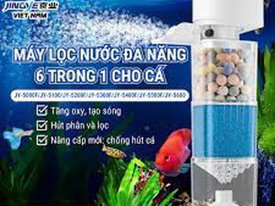 Aqua House   Thế Giới Hồ Cá   Thiết Bị Thủy Sinh Cho Người Chơi Chuyên Nghiệp 1