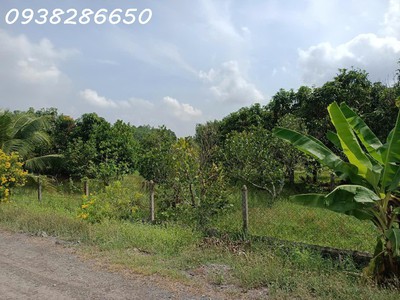 Củ chi bán mảnh đất tại xã trung lập hạ rộng 3375m2 - giá 9 tỷ 300 triệu thương lượng 2