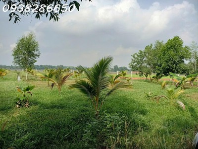 Củ chi bán mảnh đất tại xã trung lập hạ rộng 3375m2 - giá 9 tỷ 300 triệu thương lượng 4