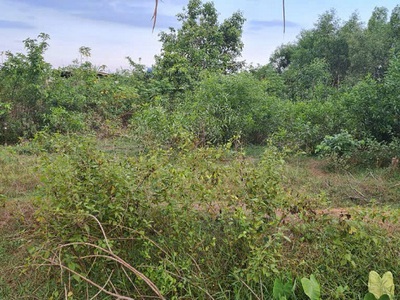 Bán đất mặt tiền tỉnh lộ 823 vị trí đẹp, gần trường học trung tâm hành chính 2