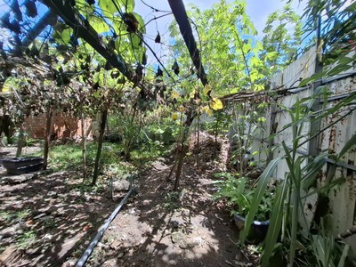 Bán nhà cấp 4, hẻm xe hơi lê trọng tấn - gần tây thạnh, 16x21m, cấp 4 - tiện xây, 15 tỷ 2