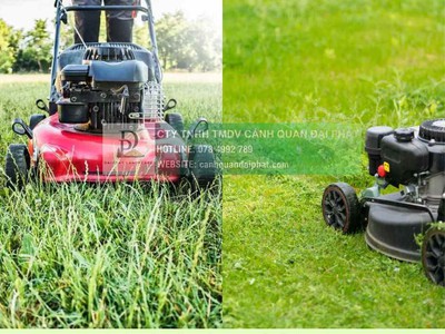 Cắt Cỏ Phát Hoang Giá Rẻ, Chuyên Nghiệp Đồng Nai, TPHCM, Bình Dương, Long An 0