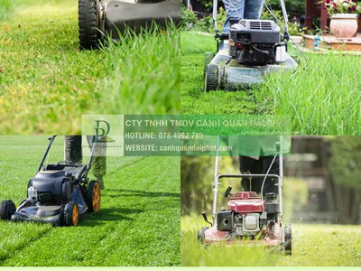 Cắt Cỏ Phát Hoang Giá Rẻ, Chuyên Nghiệp Đồng Nai, TPHCM, Bình Dương, Long An 1