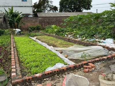 52,2m thôn xuân nộn - đông anh 1