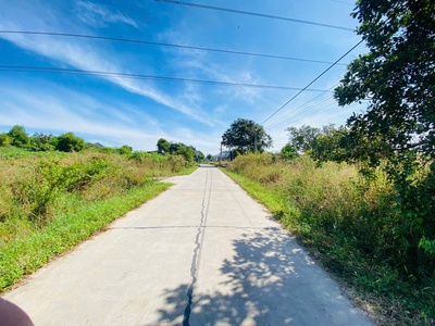 Bán 15m x 30m full thổ cư đường số 14 - tân xuân - hàm tân giá đầu tư 2