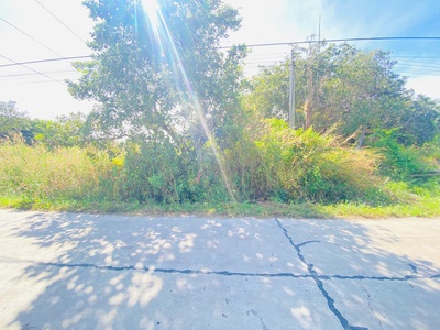 Bán 15m x 30m full thổ cư đường số 14 - tân xuân - hàm tân giá đầu tư 3