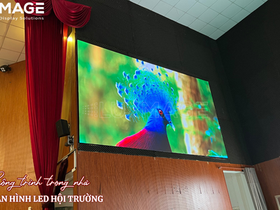 Màn Hình Quảng Cáo Chân Đứng: Công Cụ Tăng 200 Tỷ Lệ Chuyển Đổi Tại Điểm Bán 1