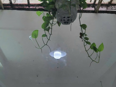 Cho thuê căn hộ chung cư Bàu Cát 2 67m , tầng lửng, giá 8,8 triệu/tháng 5