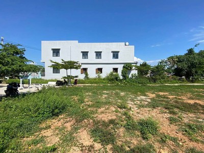 Chỉ còn 2 lô Xuân Diệm 1 giá 7xx/lô, TL nhẹ 0