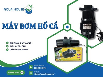 Gợi Ý Máy Bơm Hồ Cá Giá Rẻ Dưới 300K Nhưng Chất Lượng 1