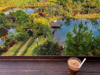 Đất nền nghỉ dưỡng Bảo Lộc view đồi chè tâm châu 3