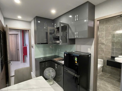 Cho Thuê Căn Hộ Cao Cấp - Chuẩn 5 Sao Xã Bình Hưng , Bình Chánh 1