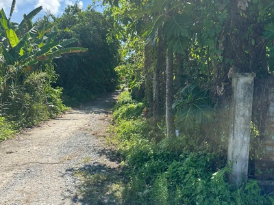 Chính chủ cần bán gần 1 công đất tại khu dân cư văn thắng  tram y tế tpđ , phuờng sa đéc, tỉnh đồng 1