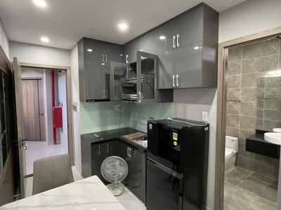 Cho thuê nhanh căn hộ 5 sao cao cấp xã bình hưng , bình chánh, hcm 3