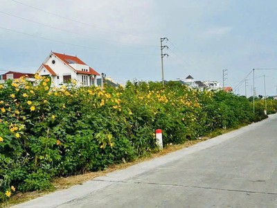 Bán lô biệt thự view sông KĐT An Phú, ph Tân Bình, TP Hải Dương, 257m2, mt 10m, giá tốt 1