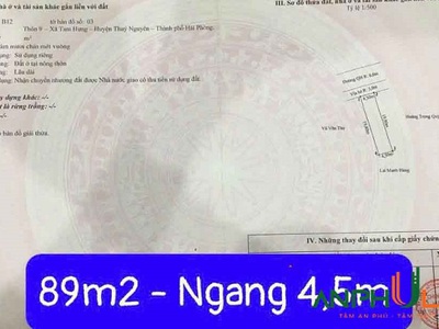 Chính chủ gửi bán lô đất 89m2 mặt đường 359 P. Nam Triệu   xã Tam Hưng , TP Hải Phòng 1