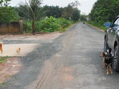 Chính chủ Bán gấp giảm sâu lô đất mặt tiền đường nhựa 30mở Tân Châu Tây Ninh 3