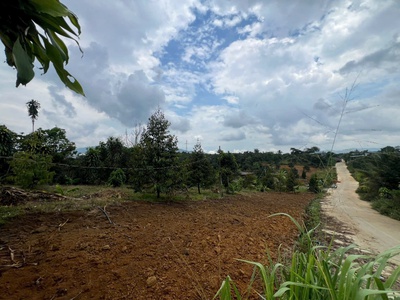 Bán đất nền view nghỉ dưỡng Quốc Lộ 55, Lộc Nam, Bảo Lâm, Lâm Đồng, giá cực chất 799 triệu, 310m2. 2