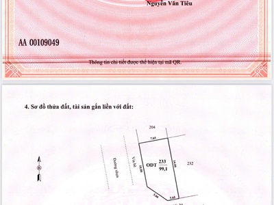 Bán gấp mảnh đất lấy tiền trả hàng khu đtm phía đông tp CHí linh - Hải Dương 0