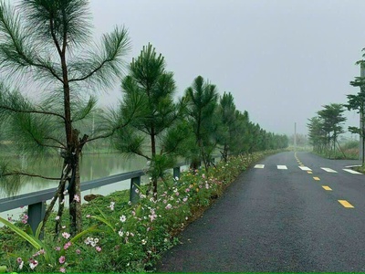 Bán Đất Nền Giá Tốt Kề Cận Quần Thể Nghỉ Dưỡng Tâm Châu 3