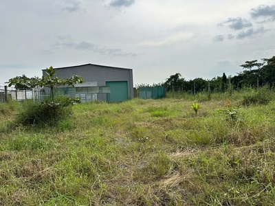 Bán đất diện tích 19.318m  tại Chánh Phú Hòa   Bến Cát. 2