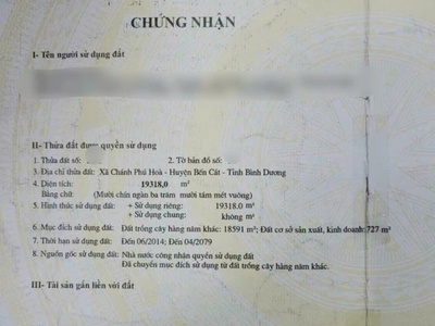 Bán đất diện tích 19.318m  tại Chánh Phú Hòa   Bến Cát. 1
