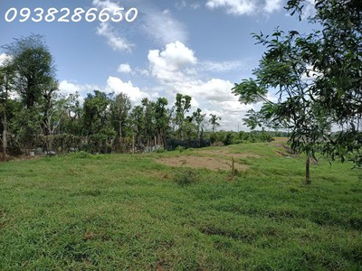 Bán đất thổ cư 5840m2 phan văn hớn, hóc môn, 10 triệu/m2, sổ đỏ 2