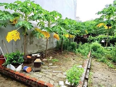 Đổi chủ cho đất thổ cư 41,9m    cao xá, hoài đức, hà nội 0