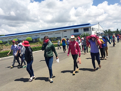 Đất nền 120m   shr nhựa 12m vị  gần cụm cn dong in 6000 công nhân chỉ 980 triệu 1