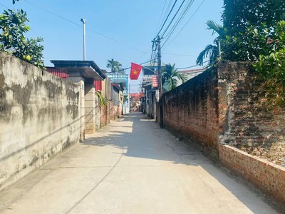 100m trục chính kinh doanh- yên dương ngọc tảo, phúc thọ 1