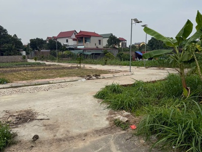 Bán đất minh phú- sóc sơn ngõ ô tô qua 81 m2 mặt tiền 5m x 1.77 tỷ. 1