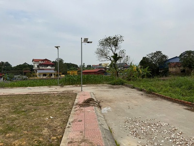 Bán đất minh phú- sóc sơn ngõ ô tô qua 81 m2 mặt tiền 5m x 1.77 tỷ. 0