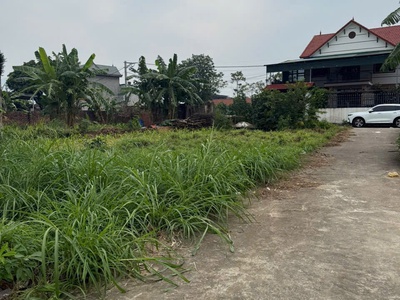 Bán đất minh phú- sóc sơn ngõ ô tô qua 81 m2 mặt tiền 5m x 1.77 tỷ. 2