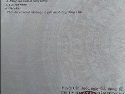 Cần bán gấp đất tại ấp đồng tâm, xã long trạch, cần đước, long an 4