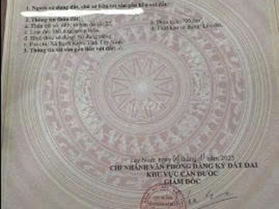 Cần bán gấp đất tại ấp đồng tâm, xã long trạch, cần đước, long an 0