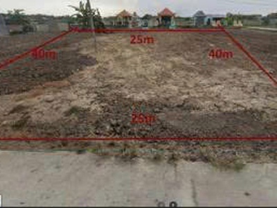 Cần bán gấp đất tại ấp đồng tâm, xã long trạch, cần đước, long an 1