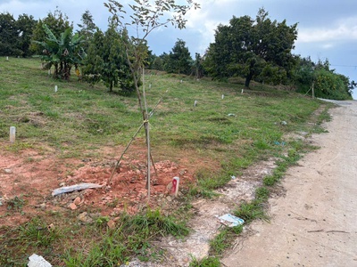 Chính chủ cần xoay vốn nhượng lại lô đất đẹp,giá rẻ chỉ 600tr còn thương lượng 4