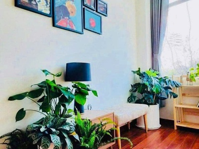 Cho thuê homestay mới đẹp   full nội thất   gần hồ xuân hương 1