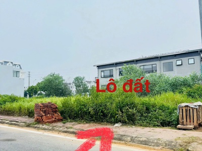 Bán đất biệt thự Nam Vĩnh Yên, Vĩnh Phúc. DT 247m2 giá 35 triệu/m2 0